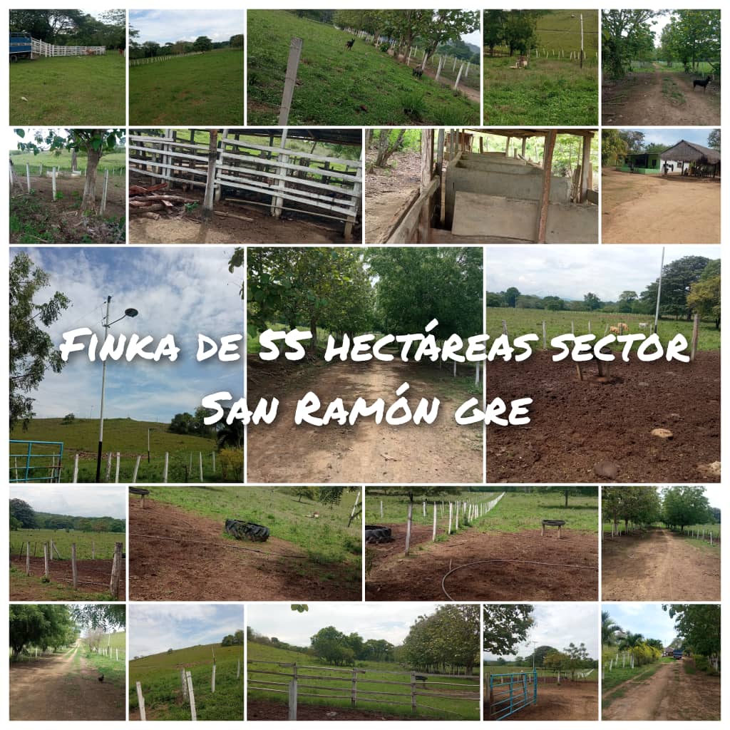 Finca de 55 Hectáreas San Ramón Gre